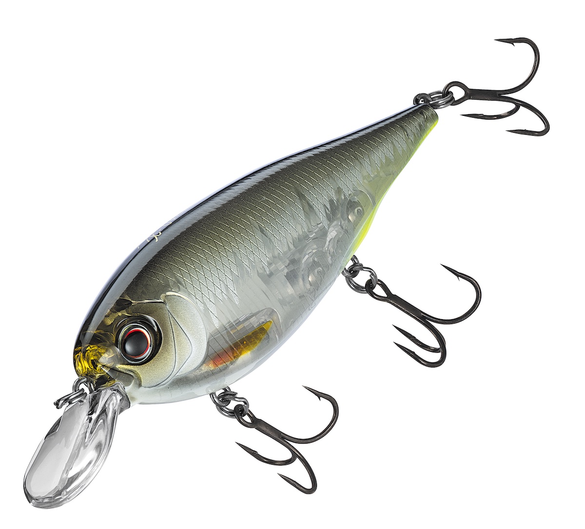 The Best Crossover Lures For Fresh & Salt Water!