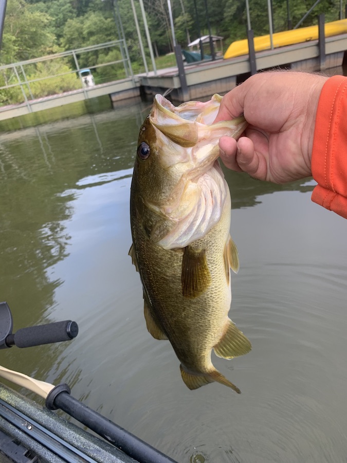 A solid bass caught in practice for the KBF Keowee / Hartwell event