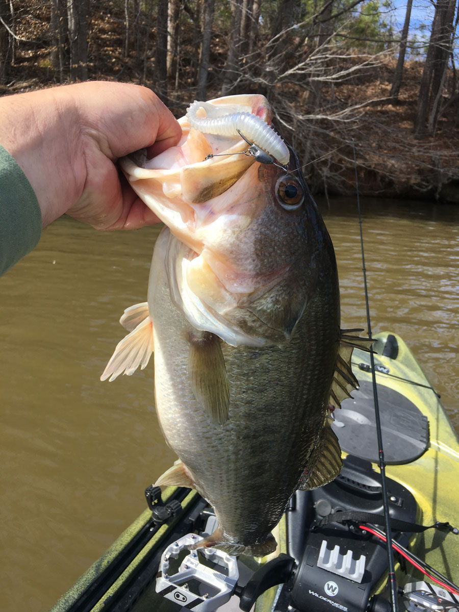 Weedless Underspin Swimbaits - Basstrail