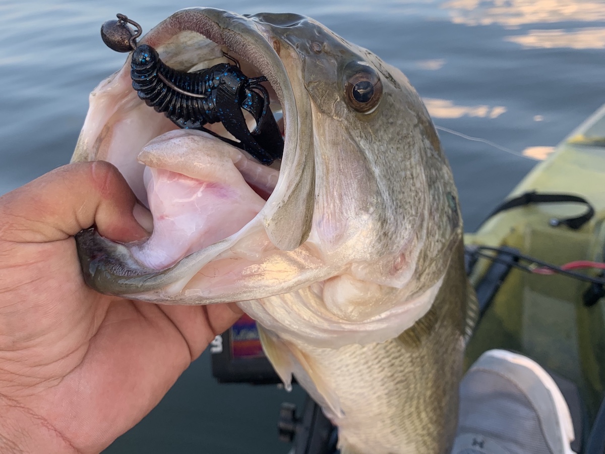 6 plus pound largemouth bass caught on a rocky point in 8' of water in July on the Swing-Head using a Strike King Rage Bug