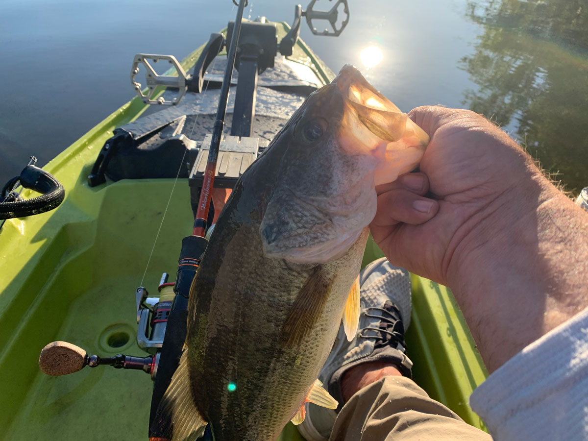 bass held up in kayak